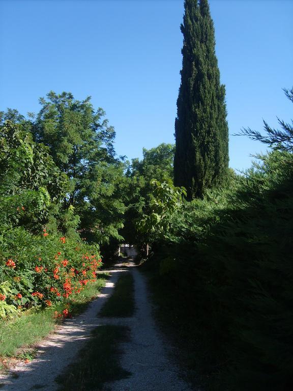 Le Clos Martin Eyragues Exteriér fotografie